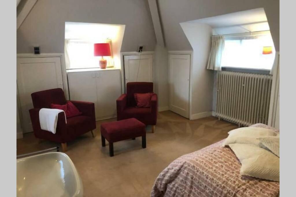 Vrijstaande Rietgedekte Villa Nabij Uitvalswegen Wassenaar Eksteriør billede